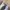 Charles and keith heels NUDE  39 photo 1