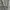 Casual Hoody Pria gray photo 3