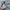 Nike Streetwear Casual Sweater Pria white gray photo 5