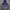 Nike Track and Field Windrunner Jacket photo 1