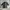 SEMANTIC DESIGN POLO SHIRT