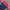 Adidas Windbreaker Jacket Colorblock photo 3