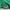 Avant Garde Casual Hoody Pria green white photo 5