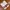Balenciaga Y2K Casual T-shirt Pria cream photo 1
