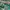 "Gildan - Truck Lagomarsino Trans, Oxnard California " Truck photo 7