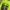 "Gildan - Truck Lagomarsino Trans, Oxnard California " Truck