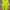 "Gildan - Truck Lagomarsino Trans, Oxnard California " Truck photo 3