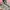 New Balance Gorpcore Casual Sneakers Wanita white gray photo 2