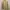 Arnold Palmer Work Jacket Boxy Cream photo 2