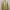 Arnold Palmer Work Jacket Boxy Cream