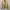 Arnold Palmer Work Jacket Boxy Cream photo 1
