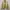 Arnold Palmer Work Jacket Boxy Cream
