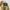 Arnold Palmer Work Jacket Boxy Cream photo 3
