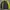 Kappa Football Training Jacket Feyenoord Rotterdam
