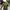 fotbody photo 3