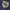 Lost Management Cities - LMC Astronout Oversize  photo 4