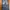 Guess Grunge Jeans Pria blue photo 1