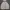 Fila Training Jacket photo 1