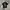 Stussy Vibration Tokyo photo 1