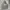 Hoodie Abercrombie photo 1