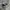 CONVERSE 70S HIGH ALL STAR BLACK WHITE photo 1