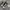 CONVERSE 70S HIGH ALL STAR BLACK WHITE photo 3