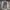 Dickies genuine cargo ripstop photo 3