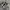 CONVERSE 70S HIGH ALL STAR BLACK WHITE photo 3