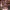 Acubi Club Casual Romper Wanita tan photo 1