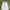 VEST(ROMPI) VINTAGE  photo 1