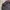 BESLAYER SEMI HALPZIP photo 3