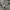 Sculptor Vintage Y2K Hoody Pria gray photo 8