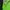HALP ZIPER photo 5