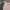 GAP Streetwear Y2K Hoody Pria multicolor photo 4