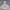 WEGO OVERSIZE PUFFER JACKET photo 1