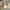 Authentic/official Boneka Pokemon 