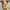 Authentic/official boneka pokemon  photo 4