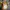 Authentic/official boneka pokemon  photo 2