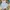Bohopanna Dress photo 5