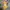Authentic/official boneka pokemon  photo 5