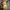 Authentic/official boneka pokemon  photo 2