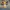 Authentic/official boneka pokemon  photo 1