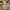 Authentic/official boneka pokemon  photo 4