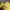 Authentic/ official boneka pokemon  photo 3