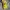 Authentic/ official boneka pokemon  photo 2