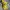 Authentic/ Official Boneka Pokemon 