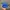 Stray Rats Blue Cap