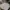 Vintage Y2K Crop top Wanita white black photo 1