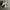 Sneaker Nike Air Force 1 LX photo 3