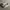 Sneaker Nike Air Force 1 LX photo 1